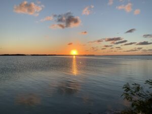 0E0D4A1E-BF35-476F-9F16-5D06E730E912_1_105_c