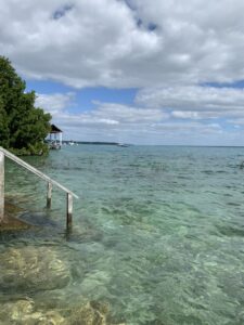 1C06AC16-4790-4520-99D3-6AE829696221_1_105_c