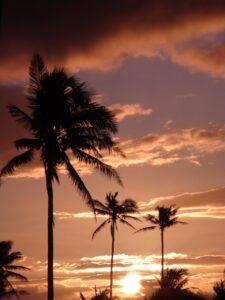 fiji, sky, clouds, sunset, colorful, colors, beautiful, sun, palms, palm trees, tropics, tropical, nature, outside, destinations, fiji, fiji, fiji, fiji, fiji